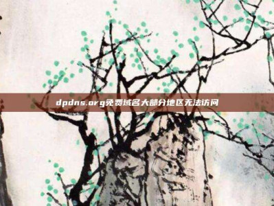 dpdns.org免费域名大部分地区无法访问