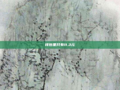 钱包里只有11.3元