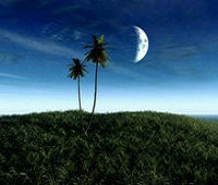 个人信用查询，一键掌握你的金融健康