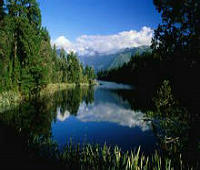 个人信用查询征信打印，你的经济身份证