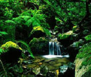 征信中心个人信用报告打印指南，轻松掌握信用信息