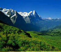 个人信用查询证明，一探究竟，你的信用值多少钱？