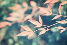 邮储车贷申请体验，轻松还是麻烦？