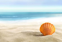 信用卡逾期记录何时能清除？这事儿得细说