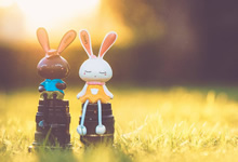 怎样轻松查到自己的信用卡逾期记录？一文教你搞定！