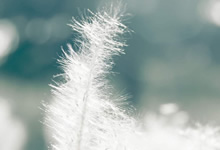 提前还房贷，一年期限将至，我们能否抓住机会？