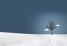 收到一条莫名其妙的短信，告诉你欠了一大笔钱逾期未还，这事儿搁谁身上都得心慌慌。别急，今天我就跟大家聊聊遇到这种情况该怎么处理